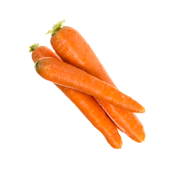 Carottes