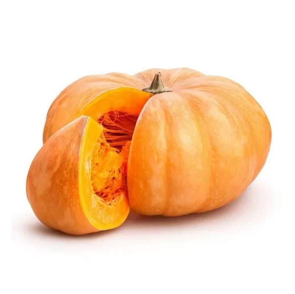 Potiron