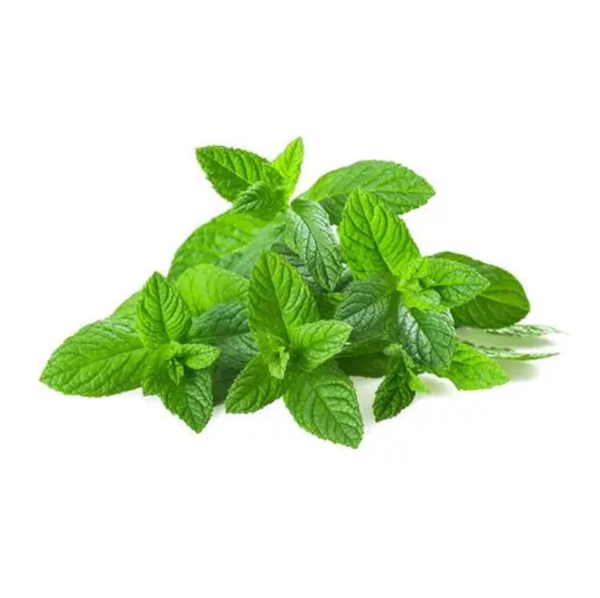 menthe